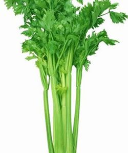 Cần tỏi tây